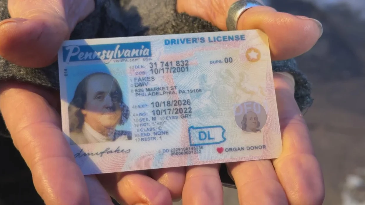 fake id