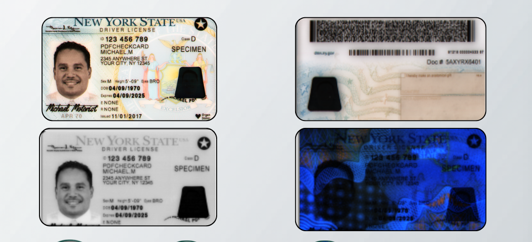 IDS-Solutions Software