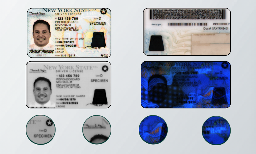 IDS-Solutions Software
